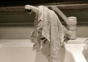Dirty Wash Cloth- Eco-Savy