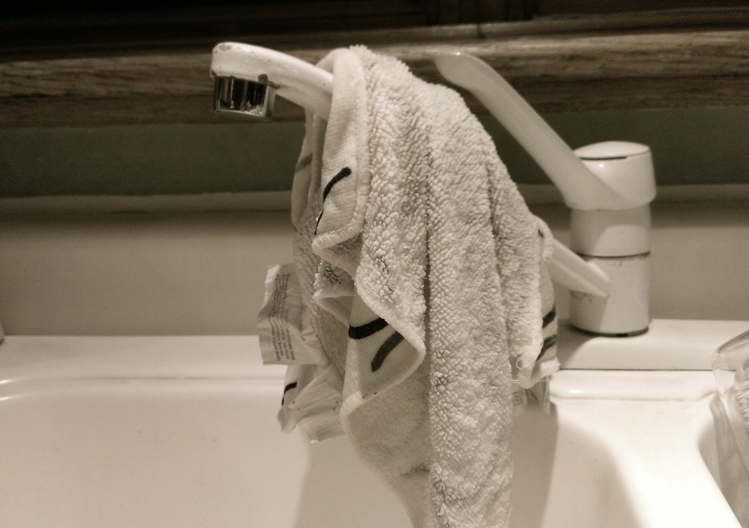 Kill Harmful Bacteria on Your Wash Cloth in 30 Seconds EcoSavy