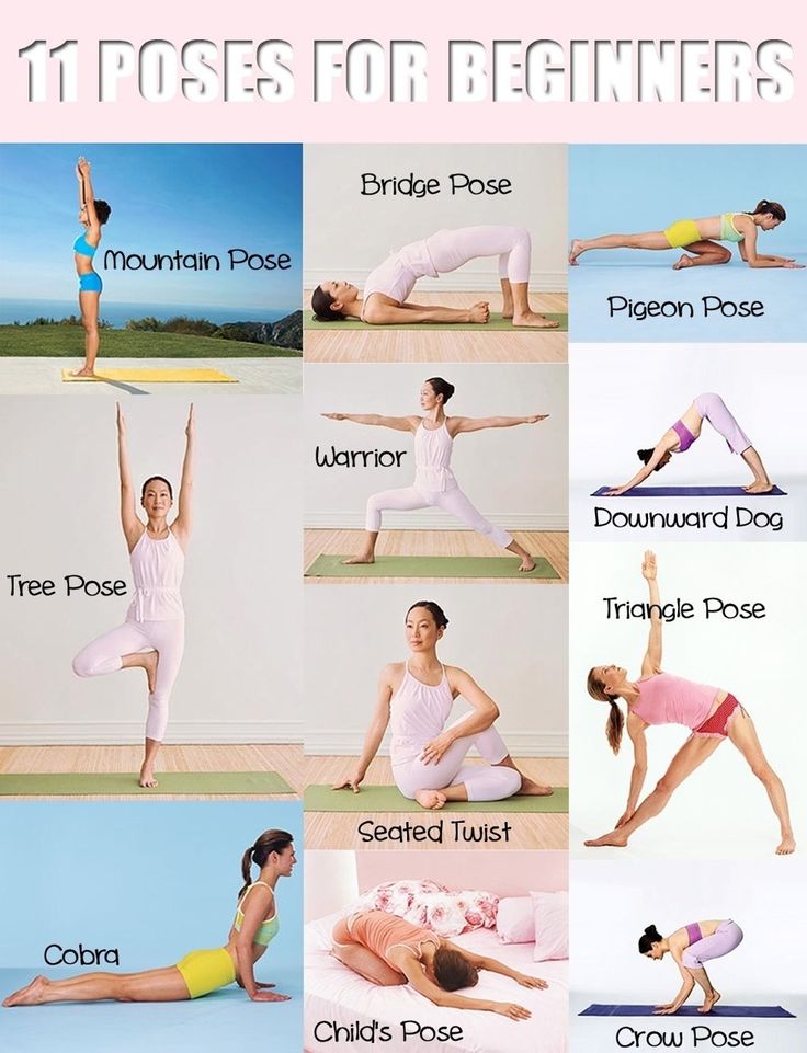 Yoga Beginner Poses EcoSavy