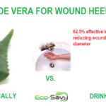 Aloe Vera Uses – Wound Healing